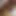Toy fuck