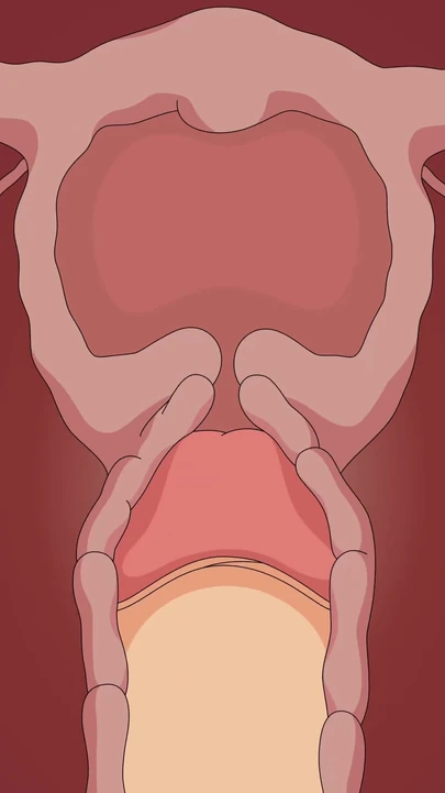 Завораживающий момент из "ХЕНТАЙ ВИДЕО DRAGON BALL Z BULMA"