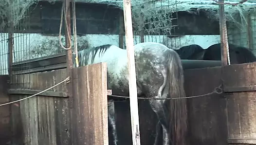 Çeşitli sanatçı - hey büyükannem bir fahişe 21