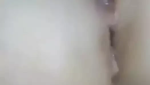 Dasi kahrolası içinde kedi