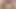 Chickpass - anastasia gül genç kedi parmaklıyor