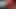 Latin karımın harika götü