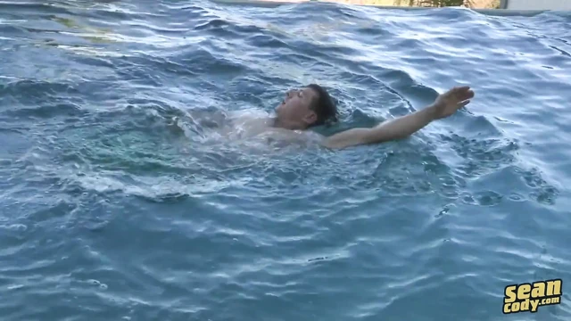 Seancody - Bob
