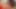 Porno inek Avrupa: Avrupalı 67