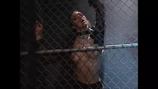 Eskiler ama altınlar 938