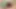 Chihiro akino :: seks bağımlılığı 2 - caribbeancom