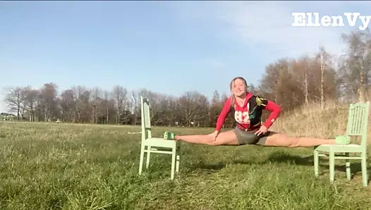 akessonellen, ajvie, ellenvy