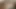 chubby esmer swinger cuckold Seks yapılmış için koca