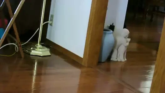 walking in my Guess gladiators