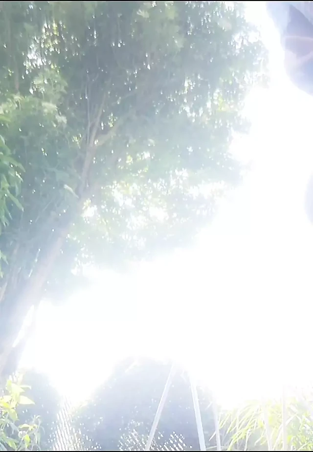 Bahçede işiyor