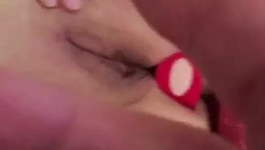 evcil hayvan yerleştirme