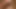 Penis, bayanın büyük ve olgun kıçına sıkıca dahil edilmiştir.