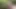 Village Girl Enjoy In Farm - Full enjoy sex with boyfriend