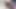Cunnilingus et bourrage de chatte
