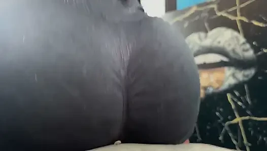 Qualify My Squats