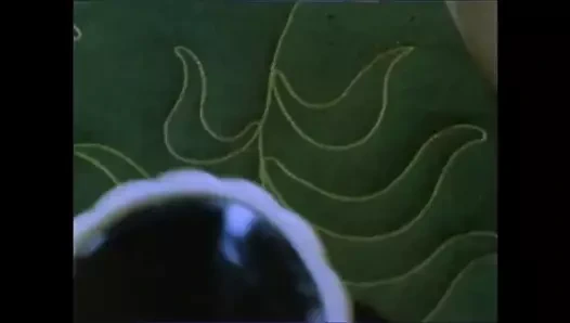 Vintage bluegrass üstsüz