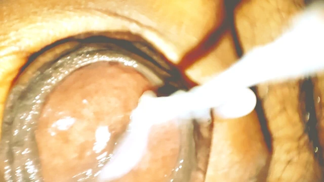 Boşalma sayısını say. İri göğüslü ve azgın kızları ağır bir şekilde sikiyor ve hepsinin içine boşalıyor.