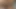 ADAMANDEVE VE LUPO ILE AMCıK DÜNYASıNA GIRIN - 4K FILM