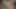 Tembel ertelemenin en iyileri, animasyonlu 3 boyutlu porno derlemesi 262
