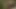 Porno yıldızı Lezley Zen açık havada gırtlağına kadar alıyor ve sikiliyor