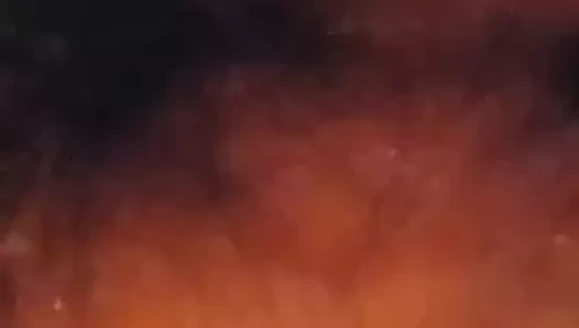 Ben sikme ve kızdırmak benim kıllı tombul kedi ile benim 9 inç oyuncak co