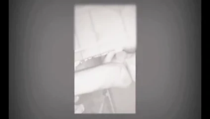 lanet kedi (oyuncak)