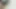 Üvey kız kardeşimi büyük yarağımla itaatkar ediyorum! - İSPANYOLCA PORNO