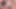 Kırmızılı seksi sarışın kanepede iki büyük yarağı emiyor ve sulu göğüslerine sıvazlıyor