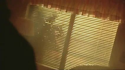 Pamela anderson aslanağzı derleme