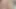 4k derin penetrasyonundan kremsi kedi boşalan aşırı yakın çekim - ikellywhite