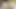Seksi esmer ıslak amına dildo sokuyor