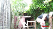 Video ön izlemesi