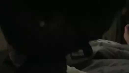 bbc emme 18 yaşındaki siyah kız uyandı