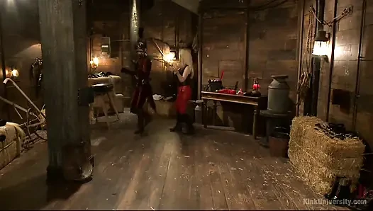 Yeni evcil hayvan veya yeni eğitmen için evcil hayvan oyunu