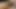 Casey calvert teaser 12