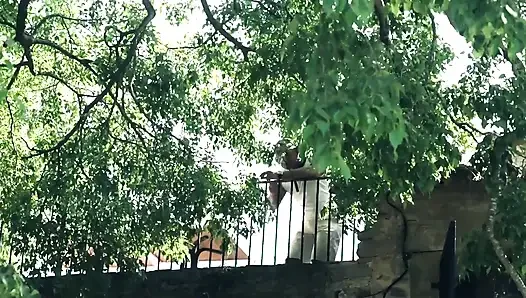 Lara'nın Duygusal Oto Yıkama Macerası