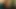 Kurzhaarige Schlampe testet den Dildo