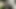 Zengin memeli latin üvey babasıyla sikişiyor - İngilizce porno
