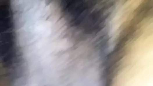 Renae yumuşak büyük zenci emiyor