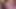 Piggy Rose büyük ayı ve lucipork ile xbiz miami'de yayın yapıyor