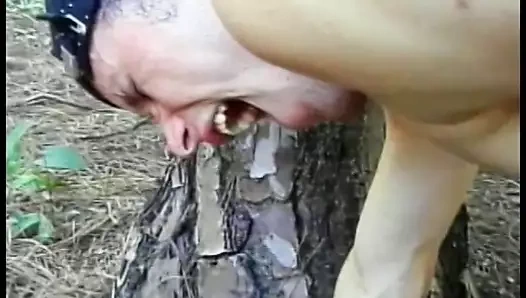 Eşcinsel adam büyük bir direk tarafından göt deliğine sertçe sikildiğinde hoşuna gidiyor