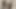 Zenci hamile sürtük yalayan kızıyla eğleniyor