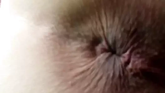 Asshole winking close up