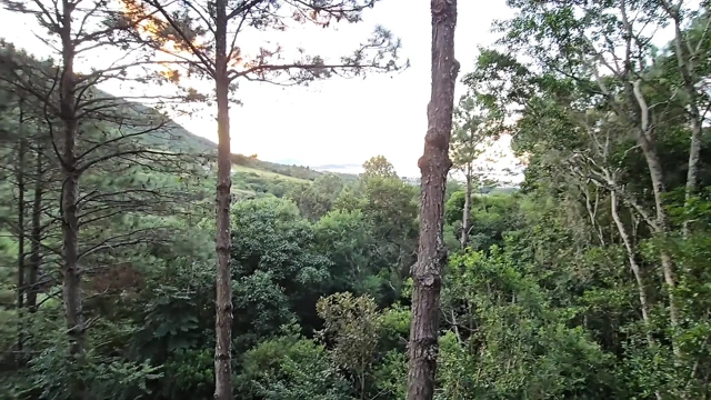 Arkadaşımın ateşli kız arkadaşı zaten yarağımı emmeye gelen benimle yalnız olamaz