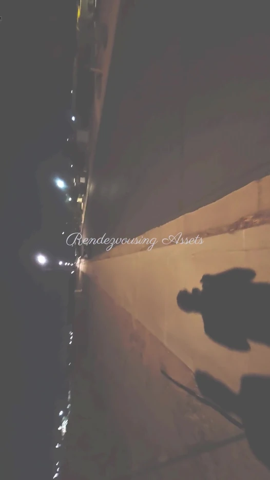 Boş yol, gece geç saatlerde ve çıplak bir çift!
