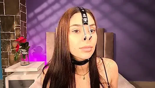 Arpone Pig Nose