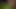 Wild Life Sanal Gerçeklik Animasyon Koleksiyonu [bölüm 01] porno oyunu [18+] seks oyunu