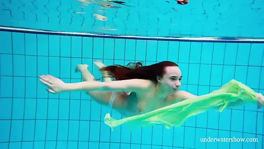 Nina mohnatka gösterileri kıllı kedi