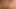 Ateşli orta yaşlı seksi kadın canavar bir yarakla götünü siktiriyor
