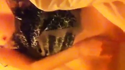 İngiliz kız arkadaşım oynuyor